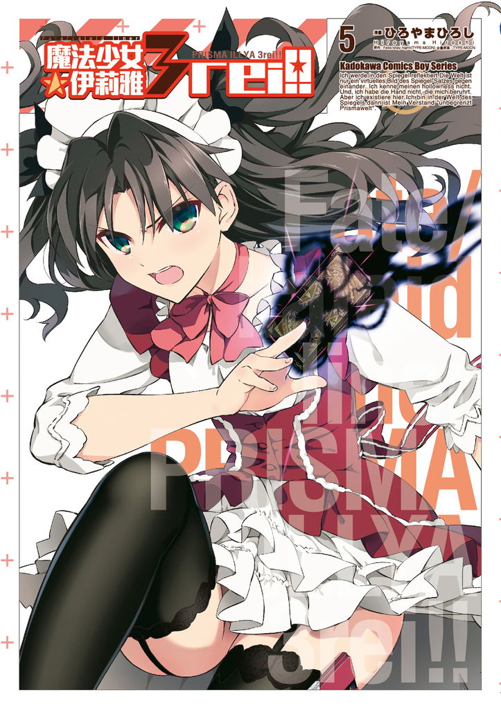 Fate/Kaleid liner 魔法少女☆伊莉雅 3rei!! (5)