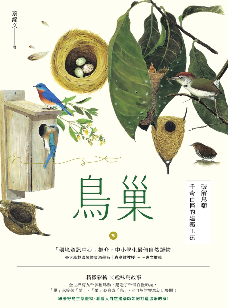 鳥巢:破解鳥類千奇百怪的建築工法