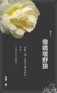 傲嬌壞野狼 傲嬌壞野狼