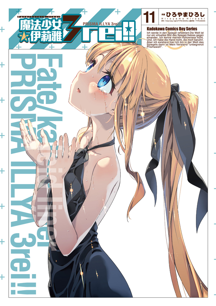 Fate/Kaleid liner 魔法少女☆伊莉雅 3rei!! (11)