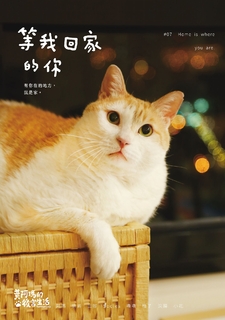 黃阿瑪的後宮生活:等我回家的你 黃阿瑪的後宮生活:等我回家的你