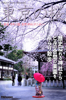 Tokyo Cherry Blossom 東京の桜 ~新宿 中央公園・熊野神社(十二社)~ Tokyo Cherry Blossom 東京の桜 ~新宿 中央公園・熊野神社(十二社)~
