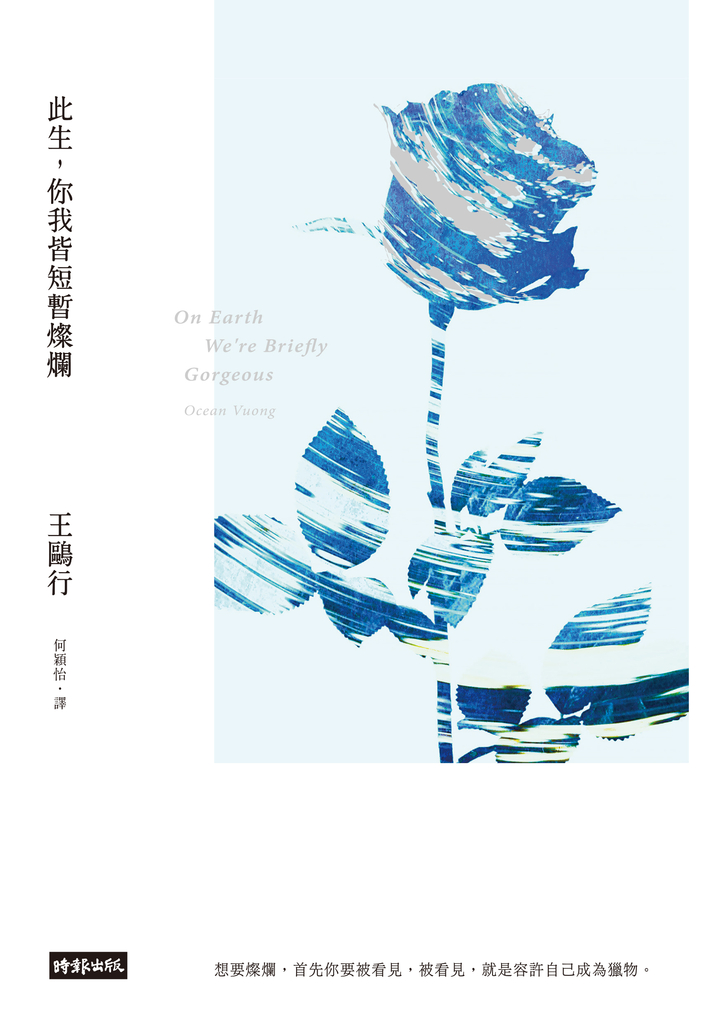 此生,你我皆短暫燦爛