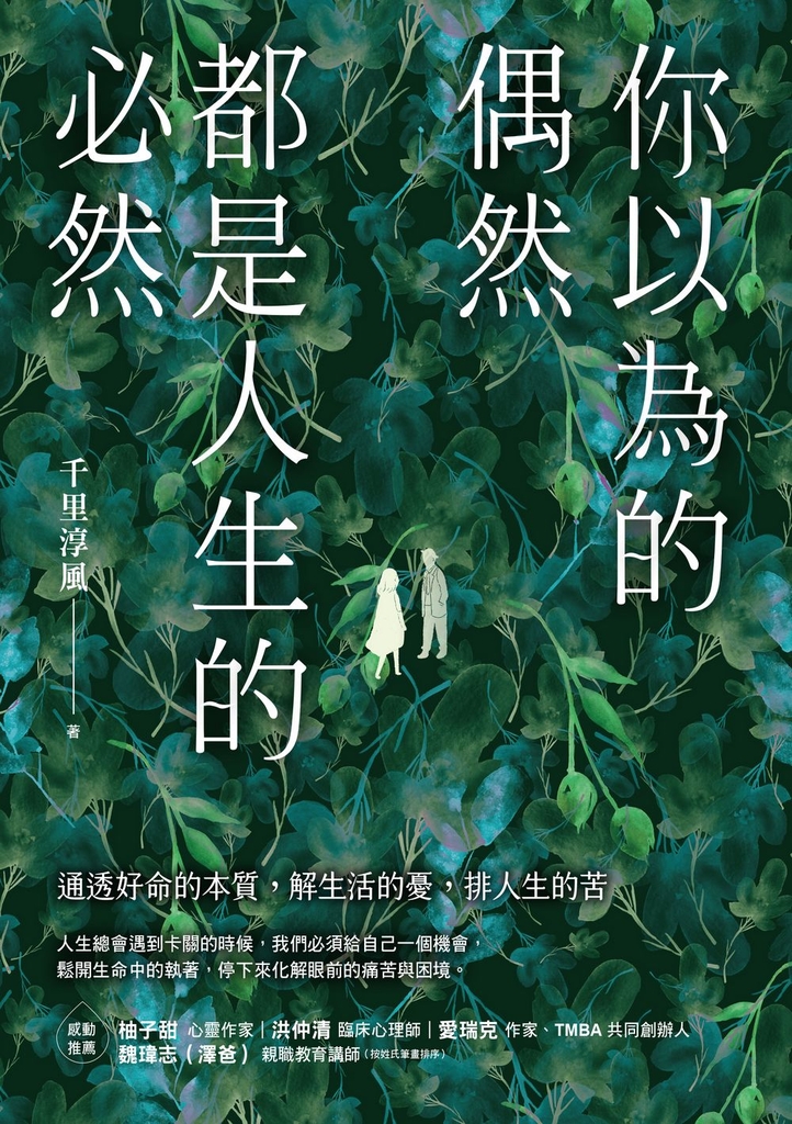 你以為的偶然,都是人生的必然:通透好命的本質,解生活的憂,排人生的苦