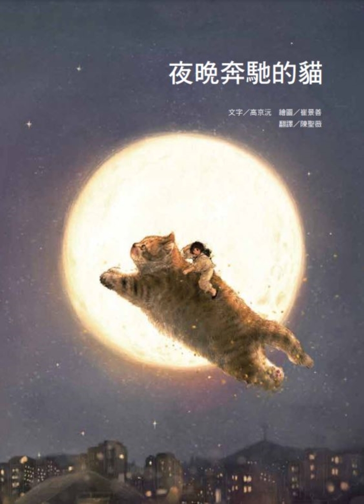 夜晚奔馳的貓