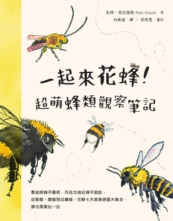 一起來花蜂!超萌蜂類觀察筆記:泰迪熊蜂不是熊,巧克力地花蜂不能吃,從蜜蜂、隧蜂到切葉蜂,花蜂七大家族明星大集合,蜂功偉業比一比