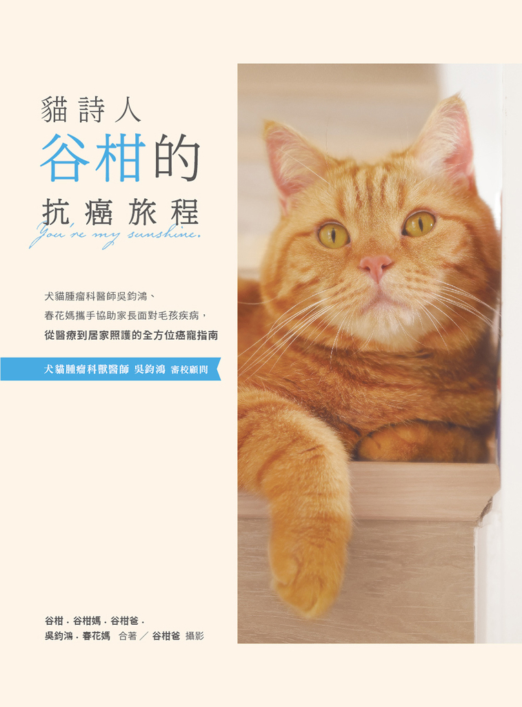 貓詩人谷柑的抗癌旅程:犬貓腫瘤科醫師吳鈞鴻、春花媽攜手協助家長面對毛孩疾病,從醫療到居家照護的全方位癌寵指南