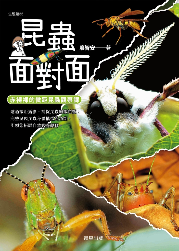 昆蟲面對面:赤裸裸的微距昆蟲觀察課