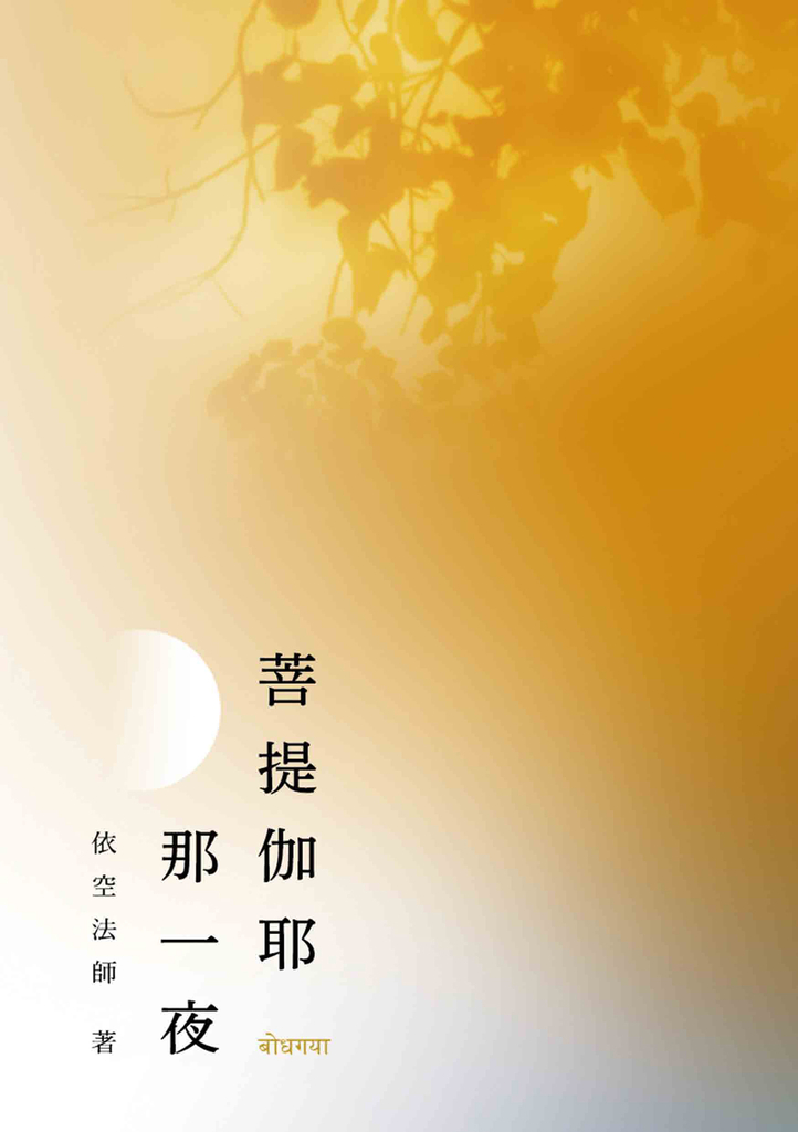 菩提伽耶那一夜